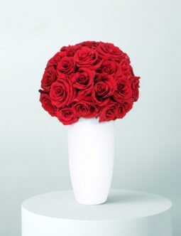 Red Rose Vase